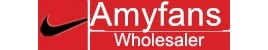 Amyfans