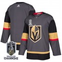 Vegas Golden Knights Blank Gray 2023 Stanley Cup Champions Stitched Jersey