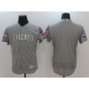 Chicago Cubs Blank Gray World Series Champions Gold Program Flexbase Stitched Jersey