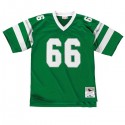 Philadelphia Eagles #66 Bill Bergey Green Stitched Jersey