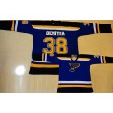 Blues #38 Pavol Demitra Light Blue Home Stitched Jersey