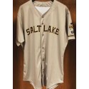 Salt Lake Bees Blank Brown Stitched Jersey