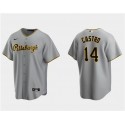 Pittsburgh Pirates #14 Rodolfo Castro Gray Cool Base Stitched Jersey