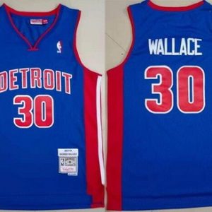 Detroit Pistons #30 Rasheed Wallace Blue 2003 Throwback Swingman Jersey