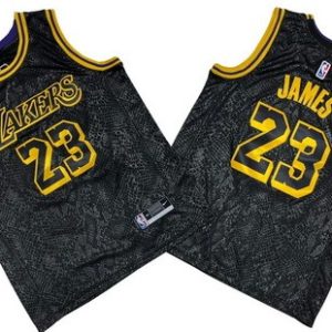 Los Angeles Lakers #23 LeBron James Black City Icon Swingman Jersey