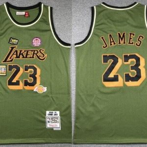 Los Angeles Lakers #23 LeBron James Olive Military Flight 2018 Throwback Swingman Jersey